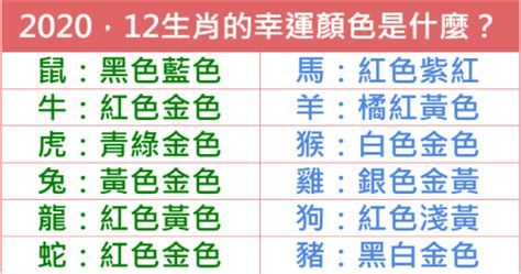 龍年 幸運色|百工百業》2024龍年行大運 12生肖流年數字、幸運色報你知